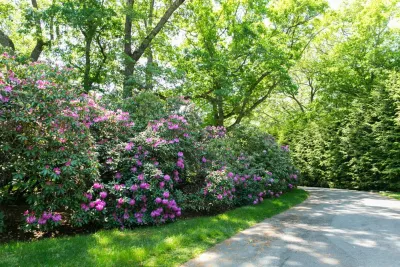 Lynch Landscape and Tree Service, Inc. - Lawn Aeration in Wayland, MA