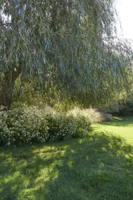 Ernest Schieferstein Architecture - Landscape Construction in North Haven, CT