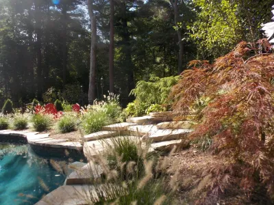 Wellesley Pool — Landscape Construction project by Lynch Landscape And Tree Service, Inc. in Wellesley