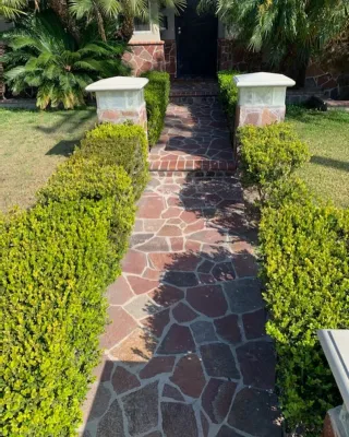 Morales Landscape Management - Landscape Maintenance in Santa Ana, CA