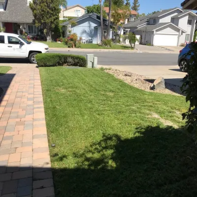 Morales Landscape Management - Landscape Maintenance in Santa Ana, CA