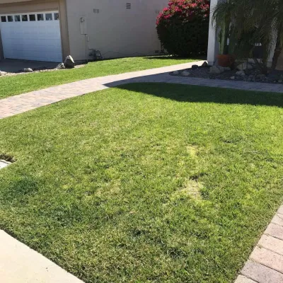 Morales Landscape Management - Landscape Maintenance in Santa Ana, CA