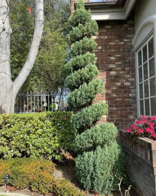 Morales Landscape Management - Landscape Maintenance in Santa Ana, CA