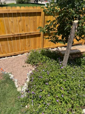 MSH Ltd - Drip Irrigation System Installation in Fort Collins, CO