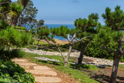 Nature Designs Landscaping - Tree & Shrub Care in Vista, CA
