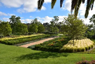 Nature Designs Landscaping - Tree & Shrub Care in Vista, CA