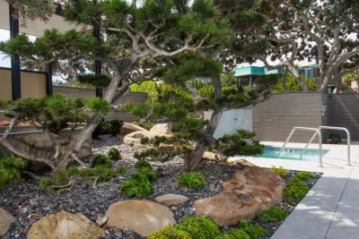 Nature Designs Landscaping - Tree & Shrub Care in Vista, CA