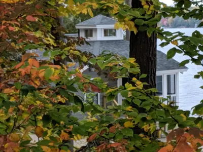 Spurling Design - Kitchen Remodeling in Islesford, ME