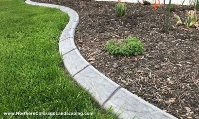 Concrete Curbing - Custom made with many design option and styles — Landscape Construction project by Northern Colorado Landscaping