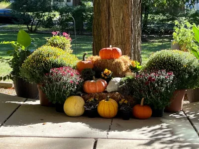 Poul's Landscaping & Nursery, Inc. - Garden Remodeling in Long Grove, IL