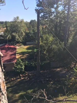 Pro Green Outdoors - Tree & Shrub Care in Lexington, SC