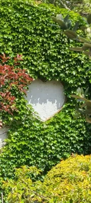 EQUESTRIAN MEDITERRANEAN — Landscape Construction project by Roy Altaras Landscape Design And Build in Los Angeles
