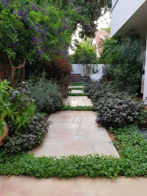 ENGRAVED CONCRETE — Landscape Construction project by Roy Altaras Landscape Design And Build in Los Angeles