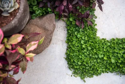 MODERN MEDITERRANEAN DESIGN — Landscape Construction project by Roy Altaras Landscape Design And Build in Los Angeles