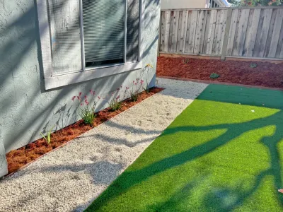 San Jose Tree Service & Landscaping - Tree & Shrub Care in San Jose, CA