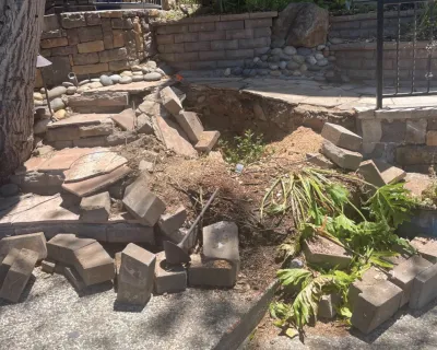 Emergency Tree Removal (Fence and Step Repair) by San Jose Tree Service & Landscaping
