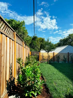 San Jose Tree Service & Landscaping - Tree & Shrub Care in San Jose, CA
