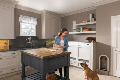 Canine Salon — Architectural & Building Design Services project by Robertson Kitchens