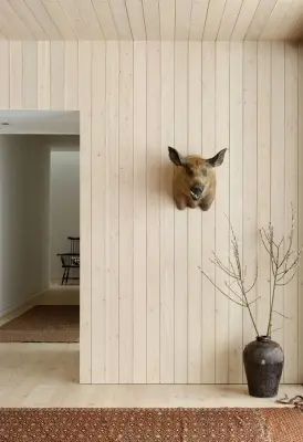 Canine Stride — Architectural & Building Design Services project by CLB Architects