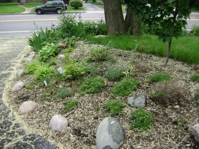 Creative Landscaping Without Retaining Walls or Curbs — Architectural & Building Design Services project by Art & Architecture Inc