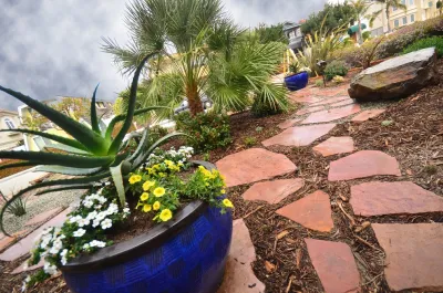 Oxnard Front Yard Refresh by Scarlett's Landscape, Inc.