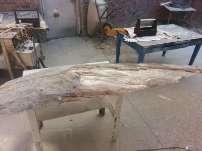 Ellipse Table — Architectural & Building Design Services project by Design SI