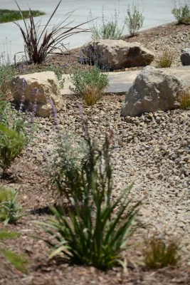 Scarlett's Landscape, Inc. - Drip Irrigation System Installation in Ventura, CA