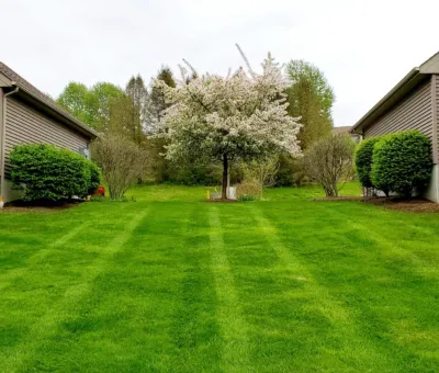 Skyview Landscaping - Paver Installation in Morristown, NJ