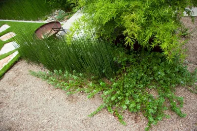 SOMOS Design and Landscaping - Rainwater Harvesting System Installation in Austin, TX