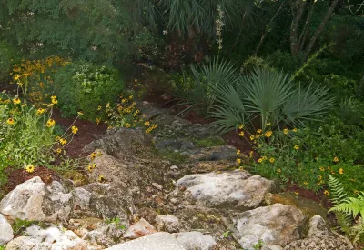 Springer Environmental Services - Landscape Maintenance in Plant City, FL
