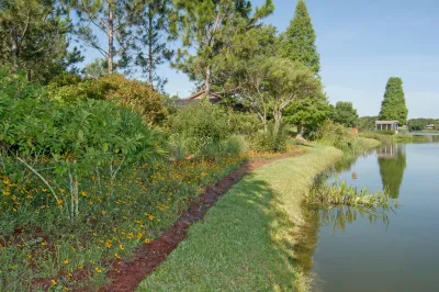 Springer Environmental Services - Landscape Maintenance in Plant City, FL