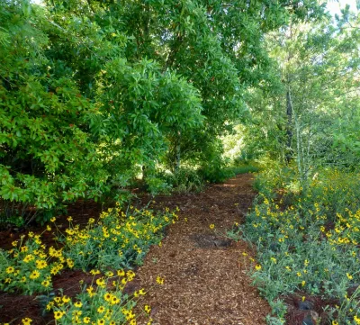 Springer Environmental Services - Landscape Maintenance in Plant City, FL