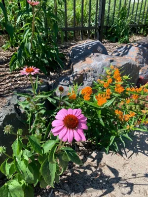 Stonepocket Unique Landscapes - Drip Irrigation System Installation in Chanhassen, MN