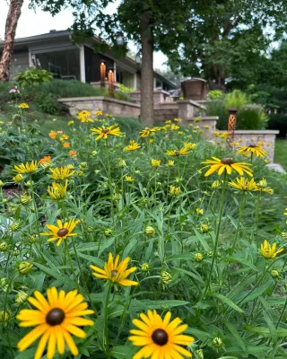 Stonepocket Unique Landscapes - Drip Irrigation System Installation in Chanhassen, MN