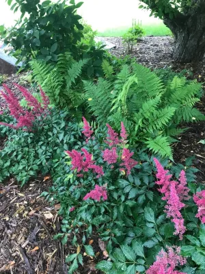Silver Lake Garden — Landscape Construction project by Stonepocket Unique Landscapes in Shorewood