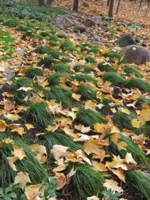 Stonepocket Unique Landscapes - Drip Irrigation System Installation in Chanhassen, MN
