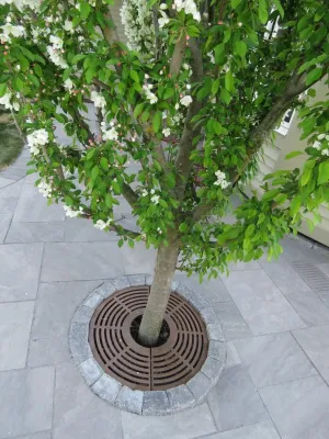 Front Yard Entertaining Patio — Landscape Construction project by Stonepocket Unique Landscapes in Plymouth