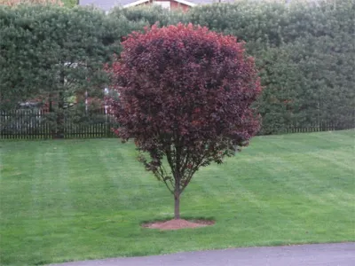 Superior lawns and landscaping,inc - Landscape Construction in Congers, NY