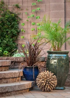 Sustain Scape - Land Cleaning in Scottsdale, AZ