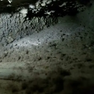 ventilation duct cleaning — Air Duct Cleaning Services project by The Best Air Quality And Restoration