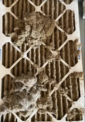 The Honest Guys Floor Care & Air Ducts - Air Duct Cleaning Services in Travelers Rest, SC