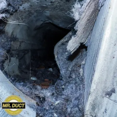Mr. Duct - Carpet Installation in Lisle, IL