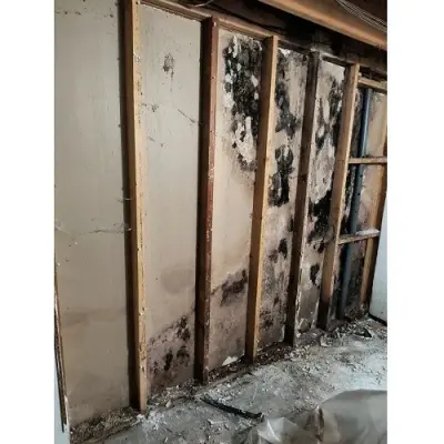Restoration Ohio - Air Duct Cleaning Services in Newark, OH