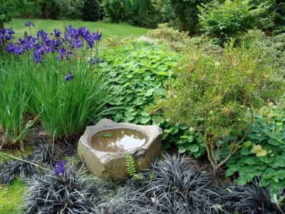 Magnolia Bluff — Landscape Construction project by Vertumni Fine Landscaping in Seattle