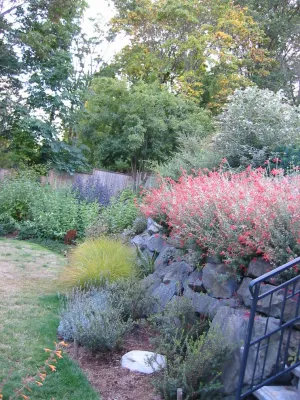 Rustic Cottage — Landscape Construction project by Vertumni Fine Landscaping in Seattle