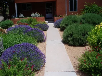 Constitution/Carlisle by Waterwise Landscapes Incorporated