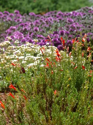 Waterwise Landscapes Incorporated - Sprinkler Installation & Repair in Albuquerque, NM