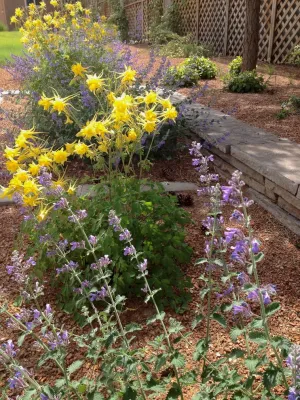 Waterwise Landscapes Incorporated - Sprinkler Installation & Repair in Albuquerque, NM