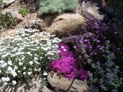 Waterwise Landscapes Incorporated - Sprinkler Installation & Repair in Albuquerque, NM