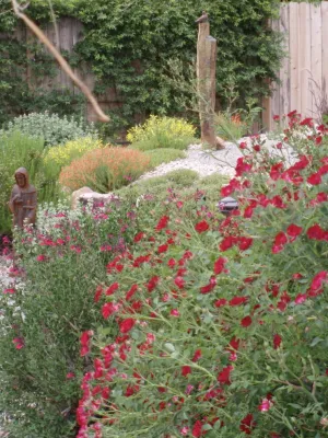 Waterwise Landscapes Incorporated - Sprinkler Installation & Repair in Albuquerque, NM